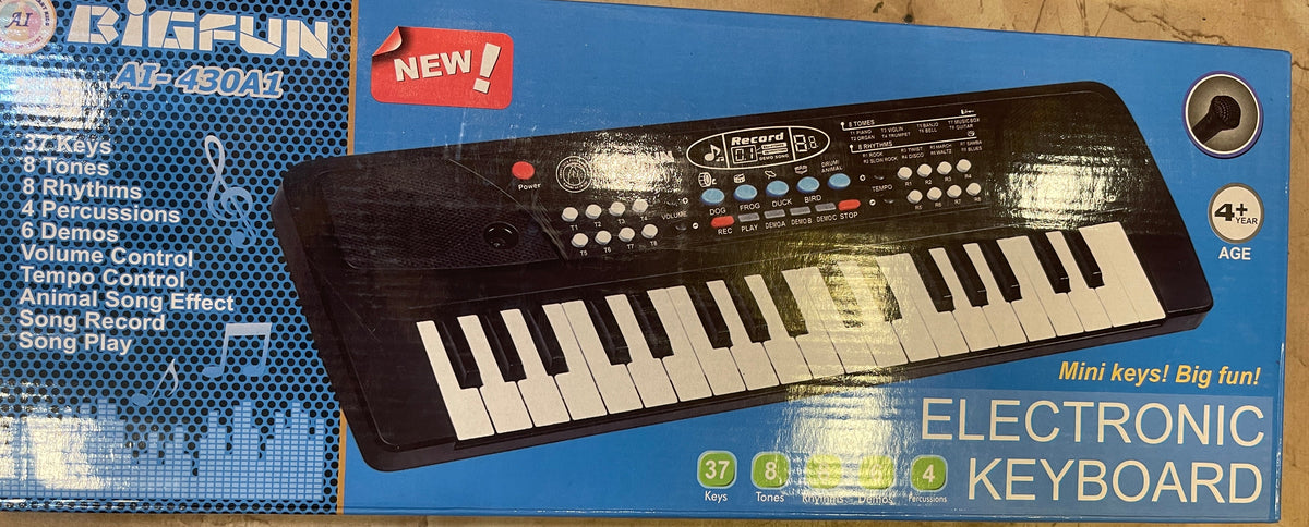 Electronic Piano