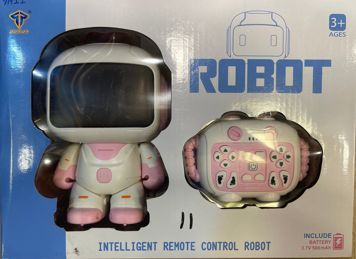 Intelligent RC Robot